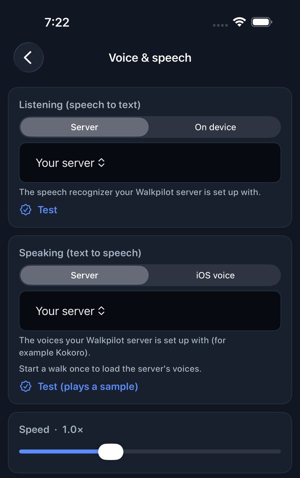 Voice and speech settings: listening and speaking can each use the server or the device